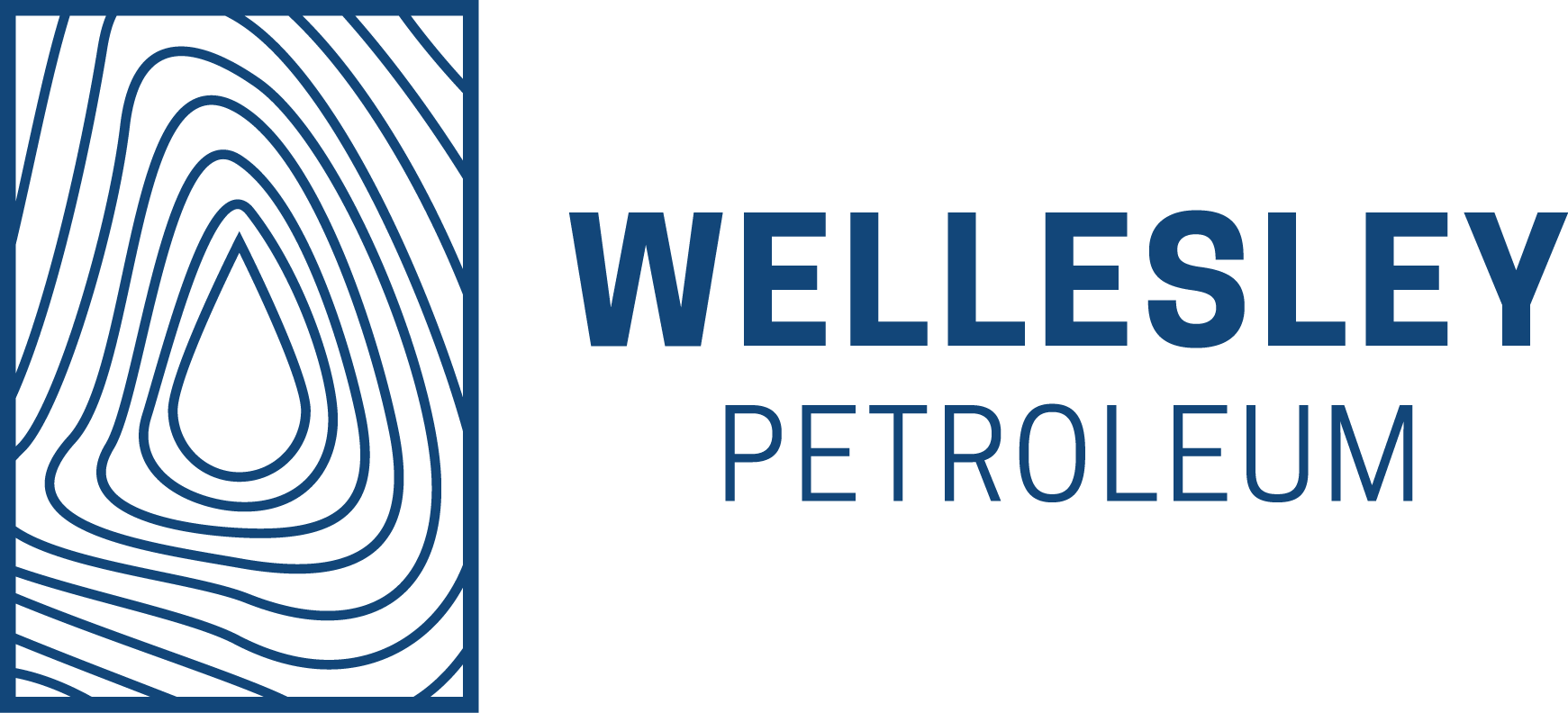 Wellesely logo